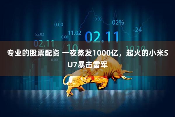 专业的股票配资 一夜蒸发1000亿，起火的小米SU7暴击雷军